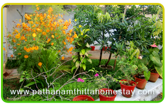 Pathanamthittahomestay.aranmula home stay-kozhencherry